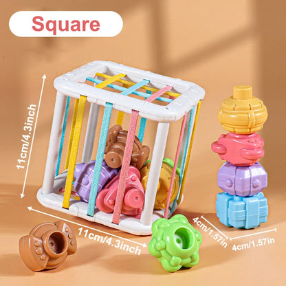 Montessori Sorting Blocks Toy 18M Game