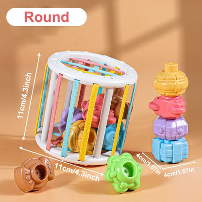 Montessori Sorting Blocks Toy 18M Game