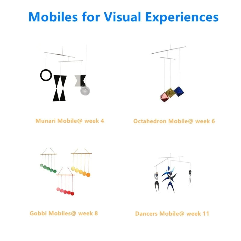 Montessori Mobile Set of 4 Visual Dev 0-3 Yrs