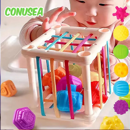 Montessori Sorting Blocks Toy 18M Game
