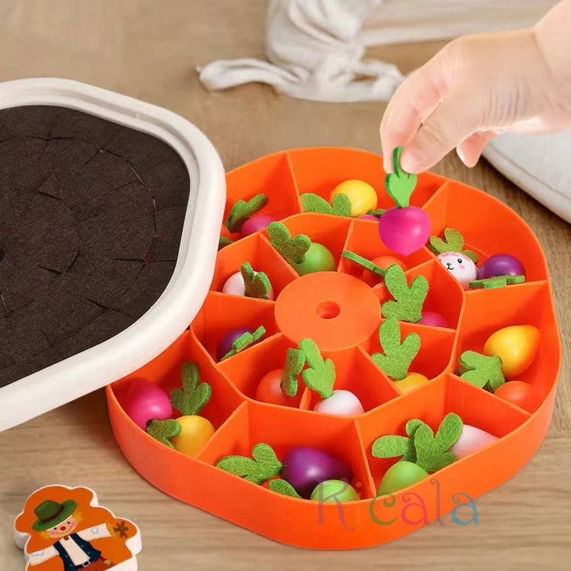 Montessori Pull Carrot Counting & Sorting Toy 3-12Y
