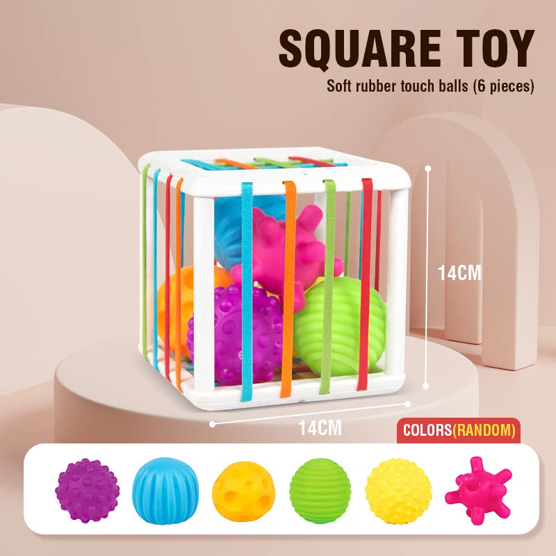 Montessori Sorting Blocks Toy 18M Game