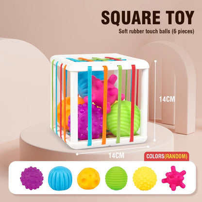 Montessori Sorting Blocks Toy 18M Game