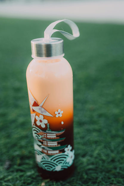 gb Platinum Glass Bottle BPA-Free | Kids